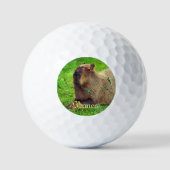 Persoonlijk Fun Capybara Animal Golfballen (Voorkant)