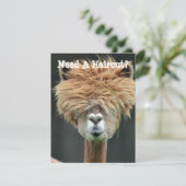 Persoonlijk Funny Llama Hair Stylist Salon Feestdagenkaart (Staand voorkant)