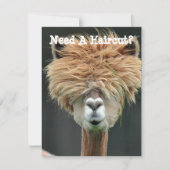 Persoonlijk Funny Llama Hair Stylist Salon Feestdagenkaart (Voorkant)