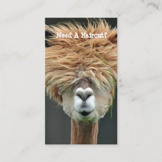 Persoonlijk Funny Llama Hair Stylist Salon Visitekaartje (Voorkant)