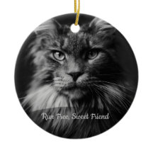 Persoonlijk kat-herdenkingsfoto-ornament