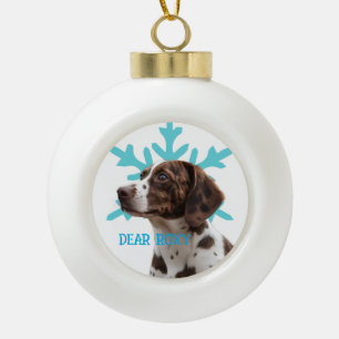 Persoonlijk kerst ornament voor huisdier