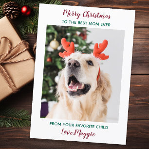 Persoonlijk kerstcadeautje voor Merry Dog mam Pet Feestdagenkaart