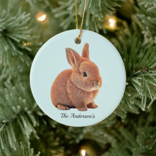 Persoonlijk konijn op lichtblauw keramisch ornament (Boom)