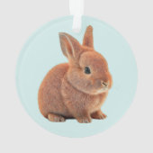 Persoonlijk konijn op lichtblauw ornament (achterkant)