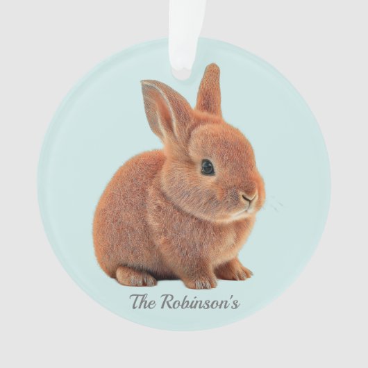 Persoonlijk konijn op lichtblauw ornament (voorkant)