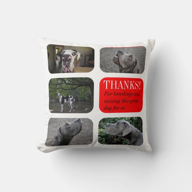Persoonlijk kussen voor fokker van Dogues de Borde (Voorkant)