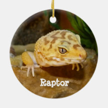 Persoonlijk Leopard Gecko Lizard
