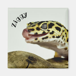 Persoonlijk Leopard Gecko Lizard Magneet