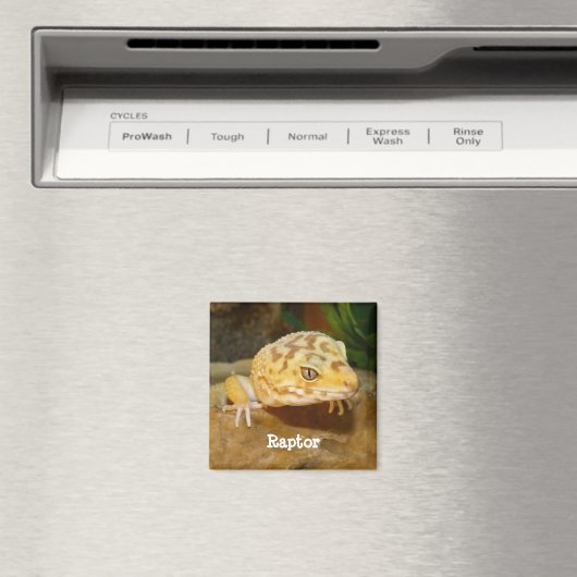 Persoonlijk Leopard Gecko Lizard Magneet (Insitu (Vaatwasser))