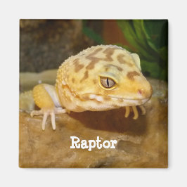 Persoonlijk Leopard Gecko Lizard Magneet