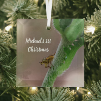 Persoonlijk mestvlieg-foto-kerstornament glas ornament