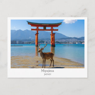 Persoonlijk, Miyajima, Japan Briefkaart
