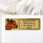 Persoonlijk Nigeriaans Kind Dwarf Dairy Goat Etiket (Insitu)