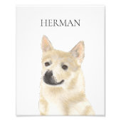 Persoonlijk Noors Buhund Foto Afdruk (Voorkant)