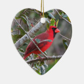  persoonlijk ornament van het Kardinaal (Rechts)