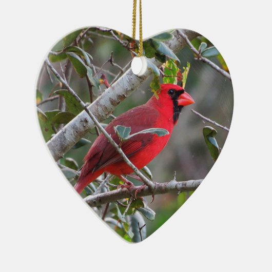  persoonlijk ornament van het Kardinaal (Rechts)