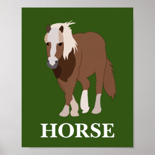 Persoonlijk Paard Dier Paardrijder Paardliefhebber Poster