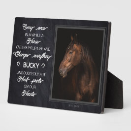 Persoonlijk paardengedenkcado foto fotoplaat