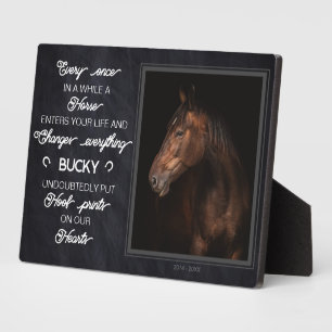 Persoonlijk paardengedenkcado foto fotoplaat