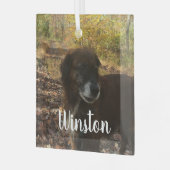 Persoonlijk Photo White Script Glas Ornament (Voorkant links)