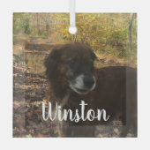 Persoonlijk Photo White Script Glas Ornament (Voorkant)