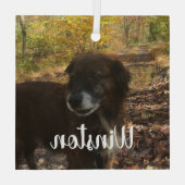 Persoonlijk Photo White Script Glas Ornament (Achterkant)