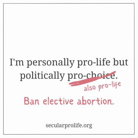 Persoonlijk pro-life politiek pro-life sticker (Voorkant)