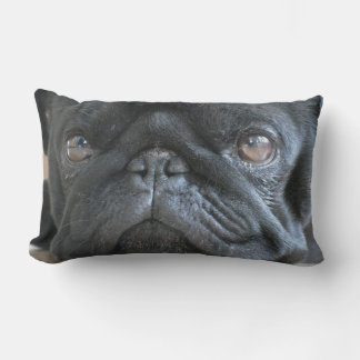 Persoonlijk pug-kussen, zwart pug-puppy, gezicht kussen