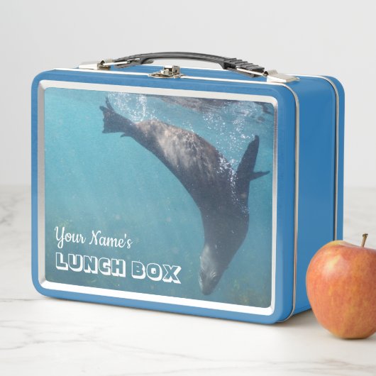 Persoonlijk schattig en speels Australisch forel (In situ)