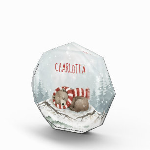 Persoonlijk Slaande-Beren-Fotoblok, Aangepaste Naa Fotoblokken