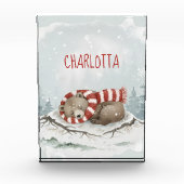 Persoonlijk Slaap-Beren-Foto Blok, Aangepaste Naam Fotoblokken (Voorkant)