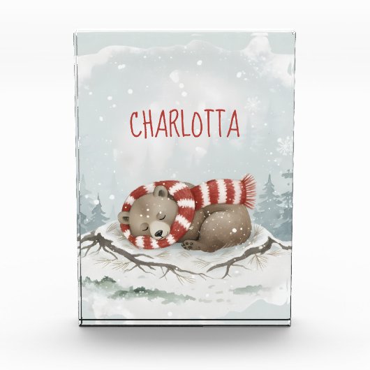 Persoonlijk Slaap-Beren-Foto Blok, Aangepaste Naam Fotoblokken (Voorkant)