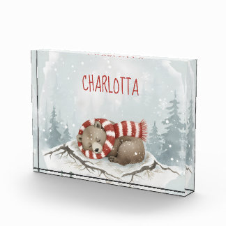 Persoonlijk slaapbeerfotoblok, Aangepaste naam Fotoblokken