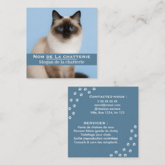 Persoonlijk visitekaartje elegante kattenkwekerij