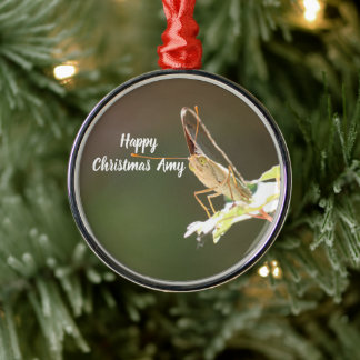 Persoonlijk vlinderfoto Kerstornament Metalen Ornament