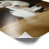 Persoonlijke 6R-fotoprinter – Aangepaste 6x8-afbee Foto Afdruk (Hoek)