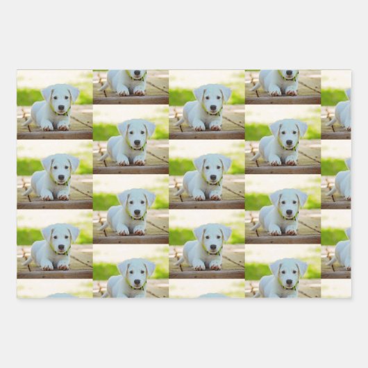 Persoonlijke aangepaste petfoto inpakpapier vel (Voorkant 2)