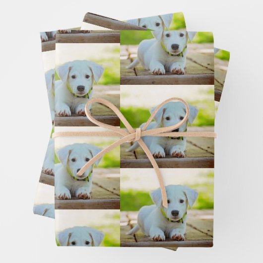 Persoonlijke aangepaste petfoto inpakpapier vel (In situ)