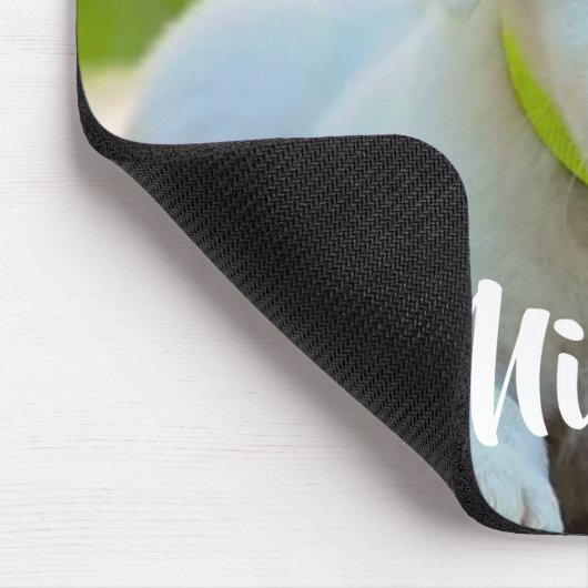 Persoonlijke aangepaste petfoto muismat (Hoek)