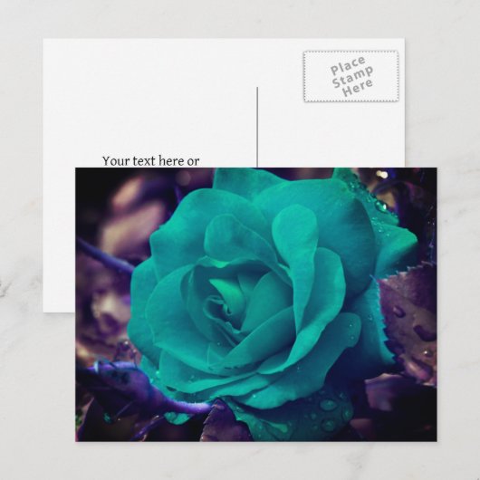 Persoonlijke Aqua Roos Bloem Briefkaart (Voorkant / Achterkant)