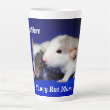Persoonlijke Baby Fancy Pet Rat Pups