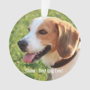 Persoonlijke Beagle Dog Foto en Dog Naam Ornament