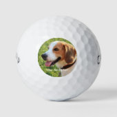 Persoonlijke Beagle-hondenfoto en hondennaam Golfballen (Voorkant)
