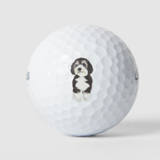 Persoonlijke Bernedoodle Golfballen (Voorkant)