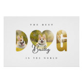 Persoonlijke Beste HOND 3 Foto Collage Perfect Poster (Voorkant)