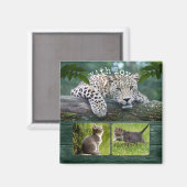 Persoonlijke Big Cat Uw Dierenfoto's Magnet (Voorkant / Achterkant)