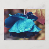 Persoonlijke Blauwe Roos Bloem Briefkaart (Voorkant)