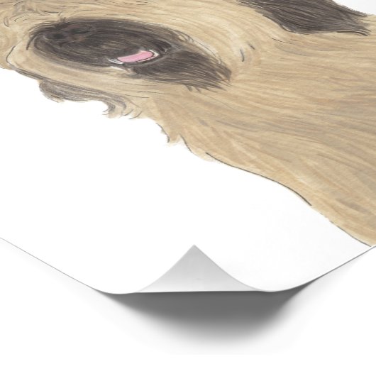 Persoonlijke briard foto afdruk (Hoek)