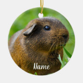 Persoonlijke bruine cavia keramisch ornament (Voorkant)